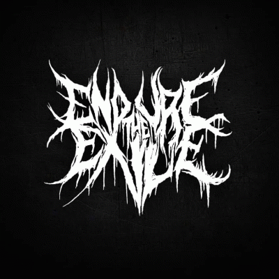 logo Endure The Exile
